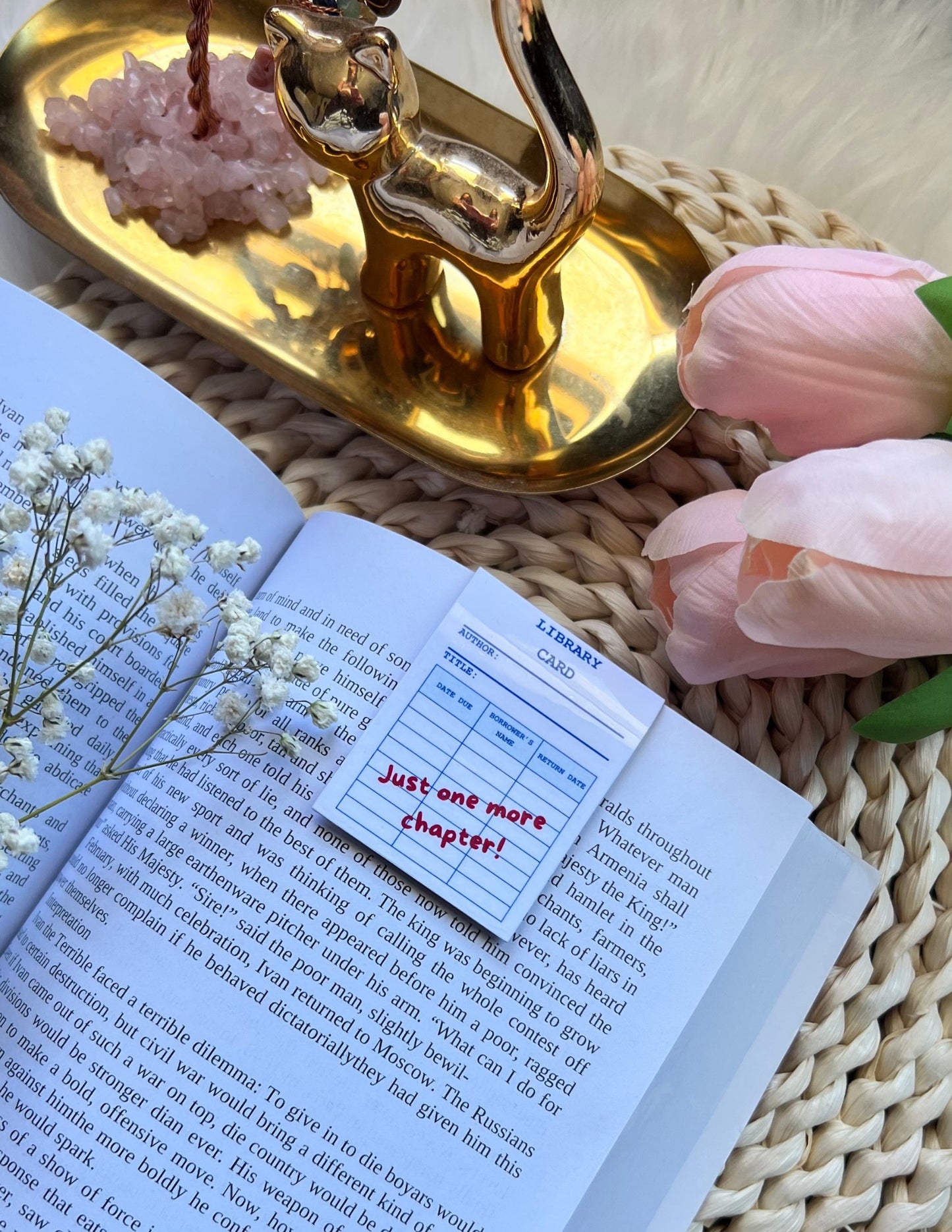 Library Card Magnetic Bookmarks